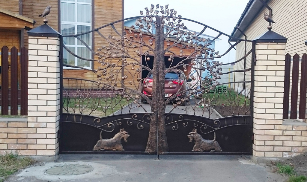 5.jpg