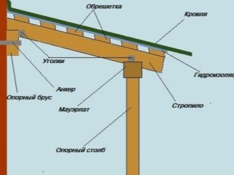 raznovidnosti-kozyrka41.jpg