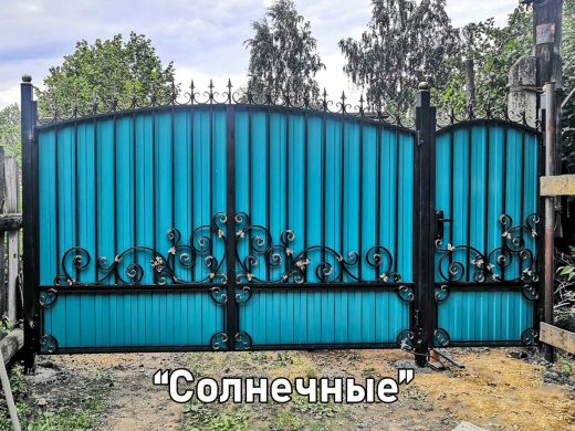 Ворота Южные